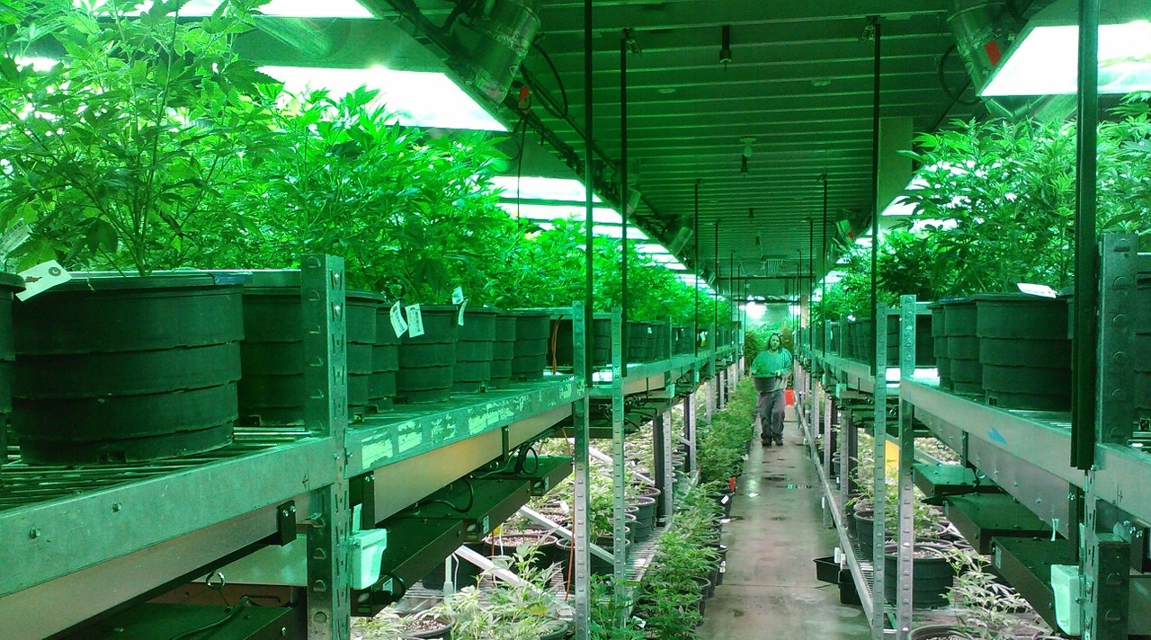 Florida Nurseries Post Their Required Performance Bonds Florida Nurseries Post Their Required Performance Bonds Politics