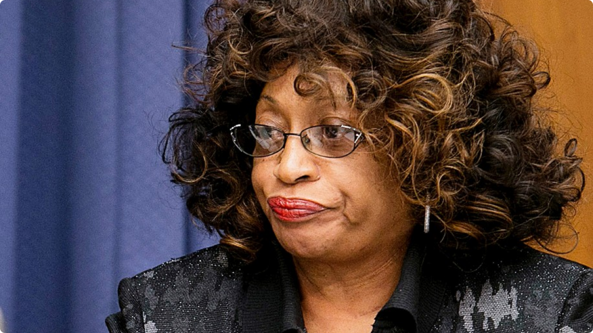 Image result for corrine brown
