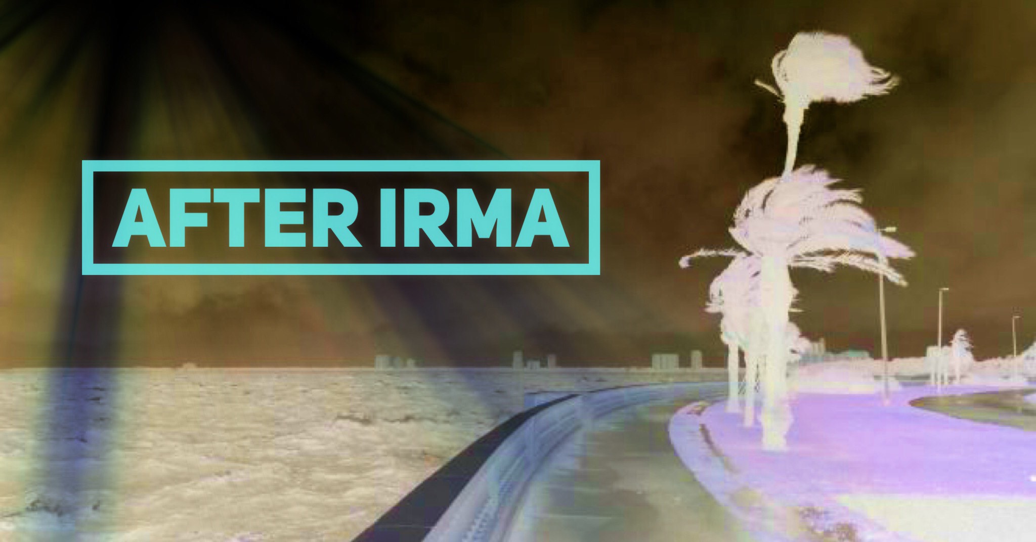 After Irma 002