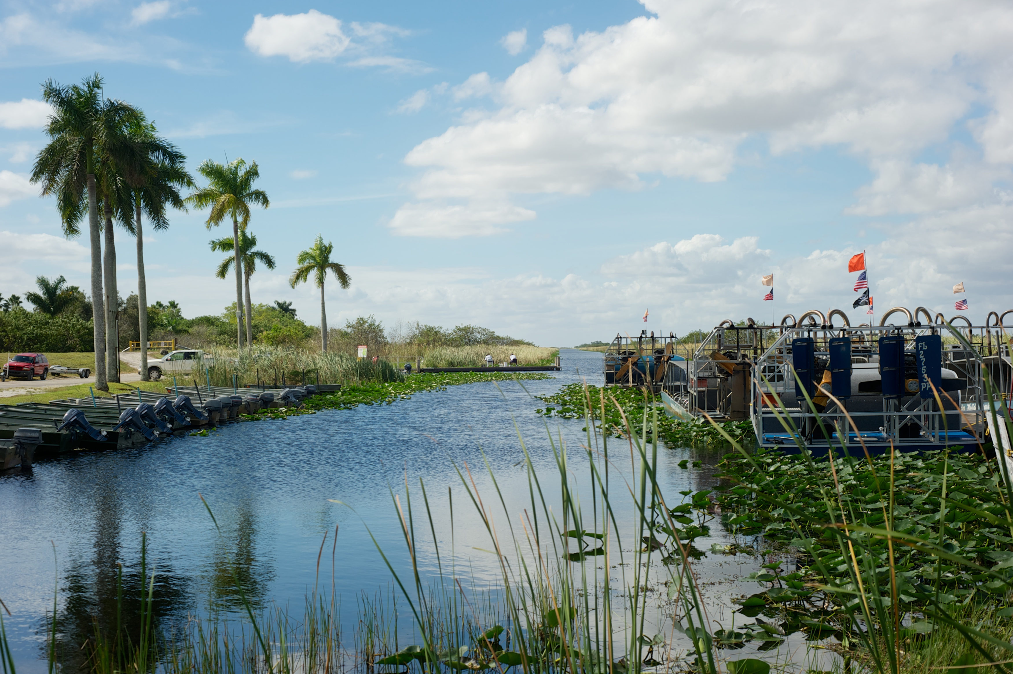 everglades - Florida