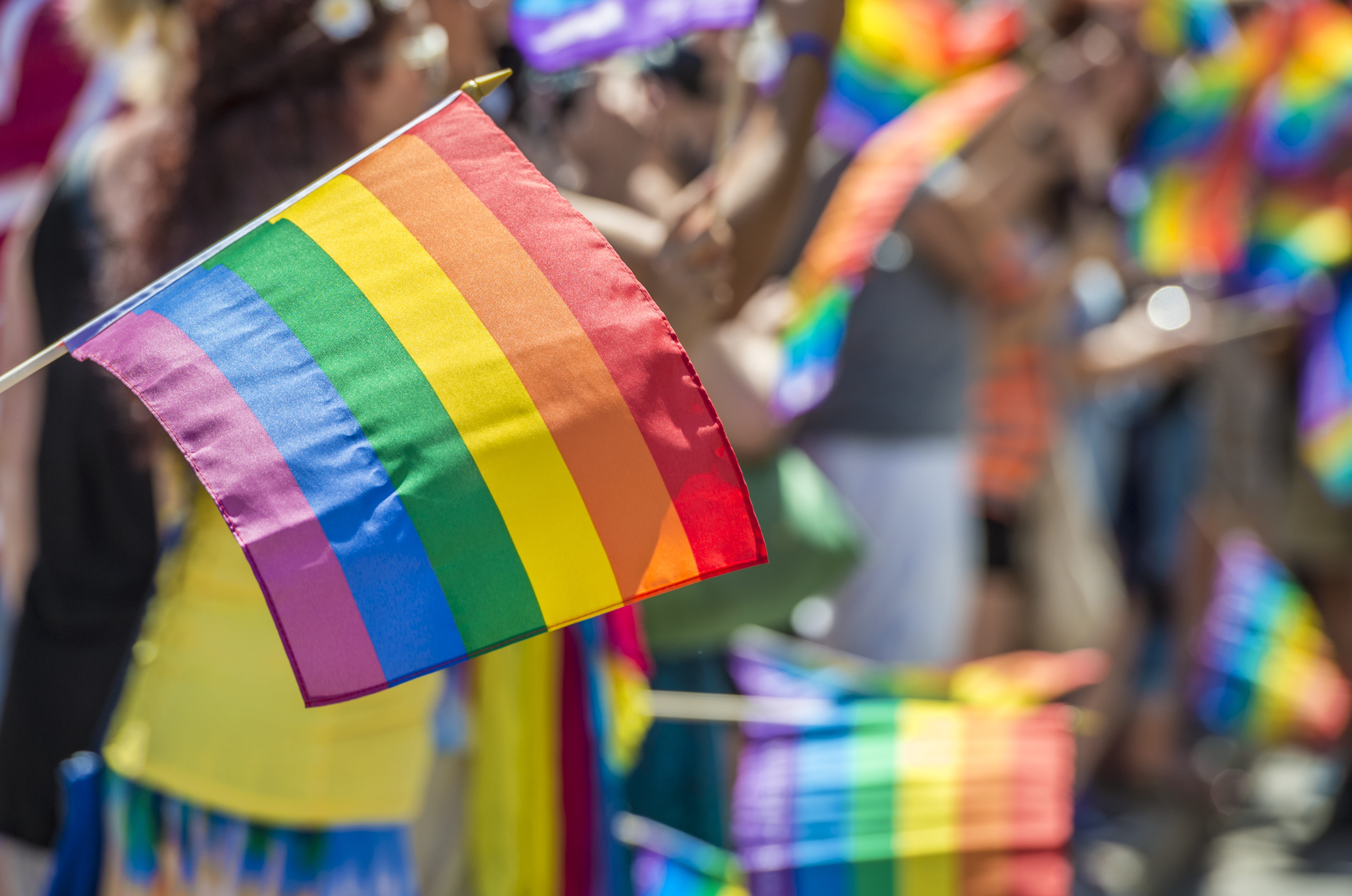 GayPride spectators carrying Rainbow gay flags during Montreal Pride Parade