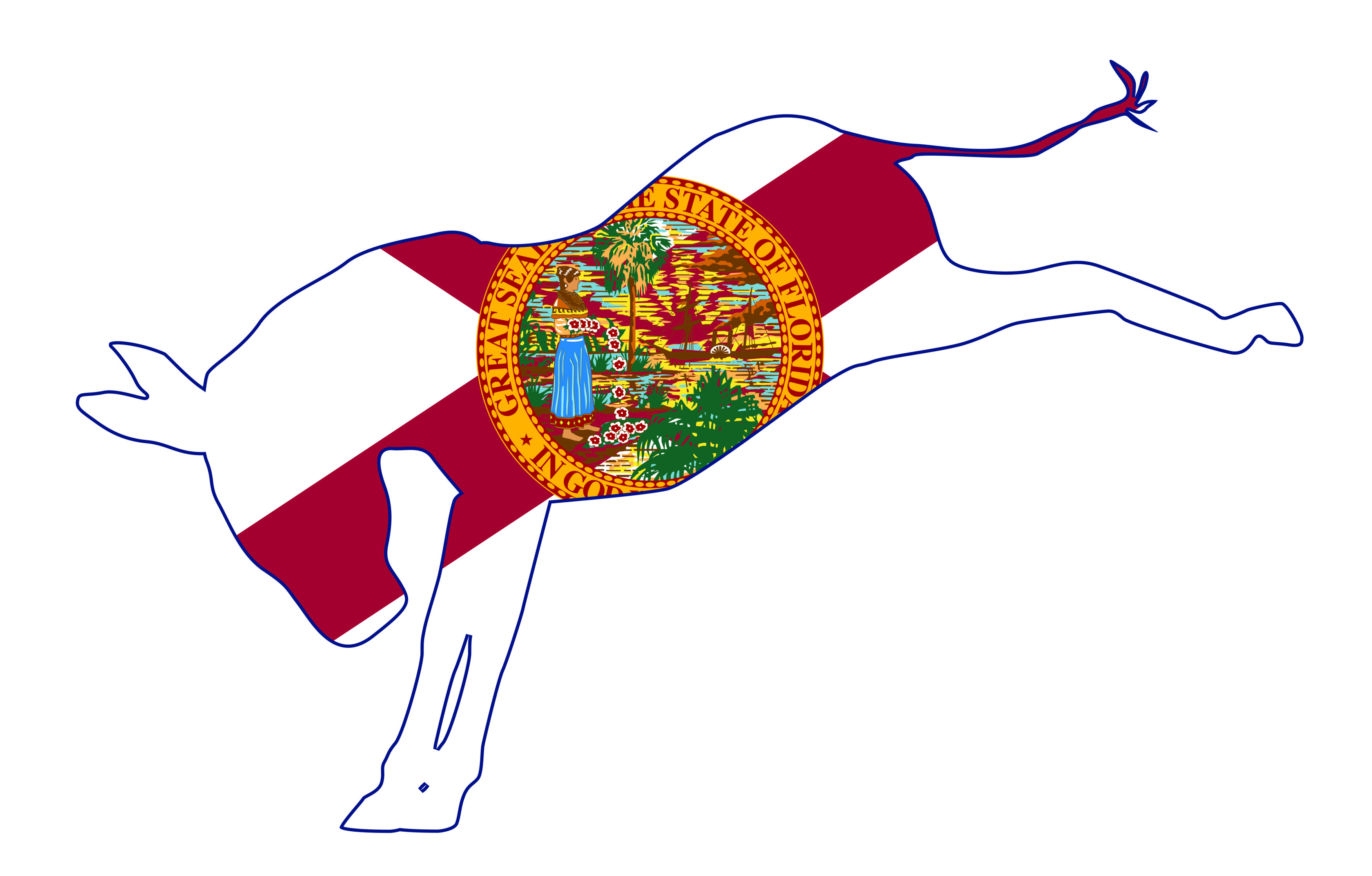 Florida Democrat Donkey Flag