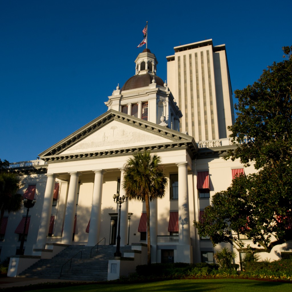 Florida Capitol - Angle - Large