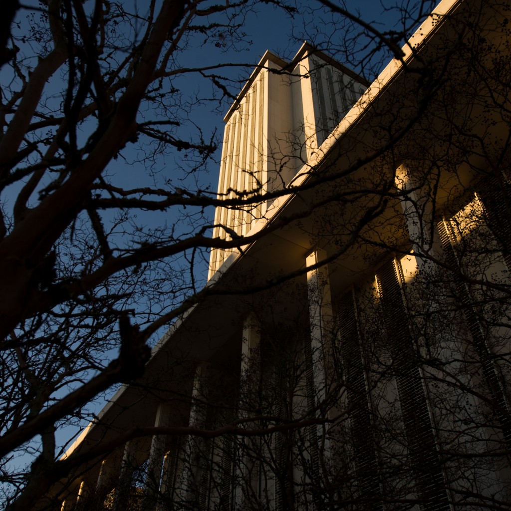 Florida-Capitol-More-Dead-Trees-1024x1024