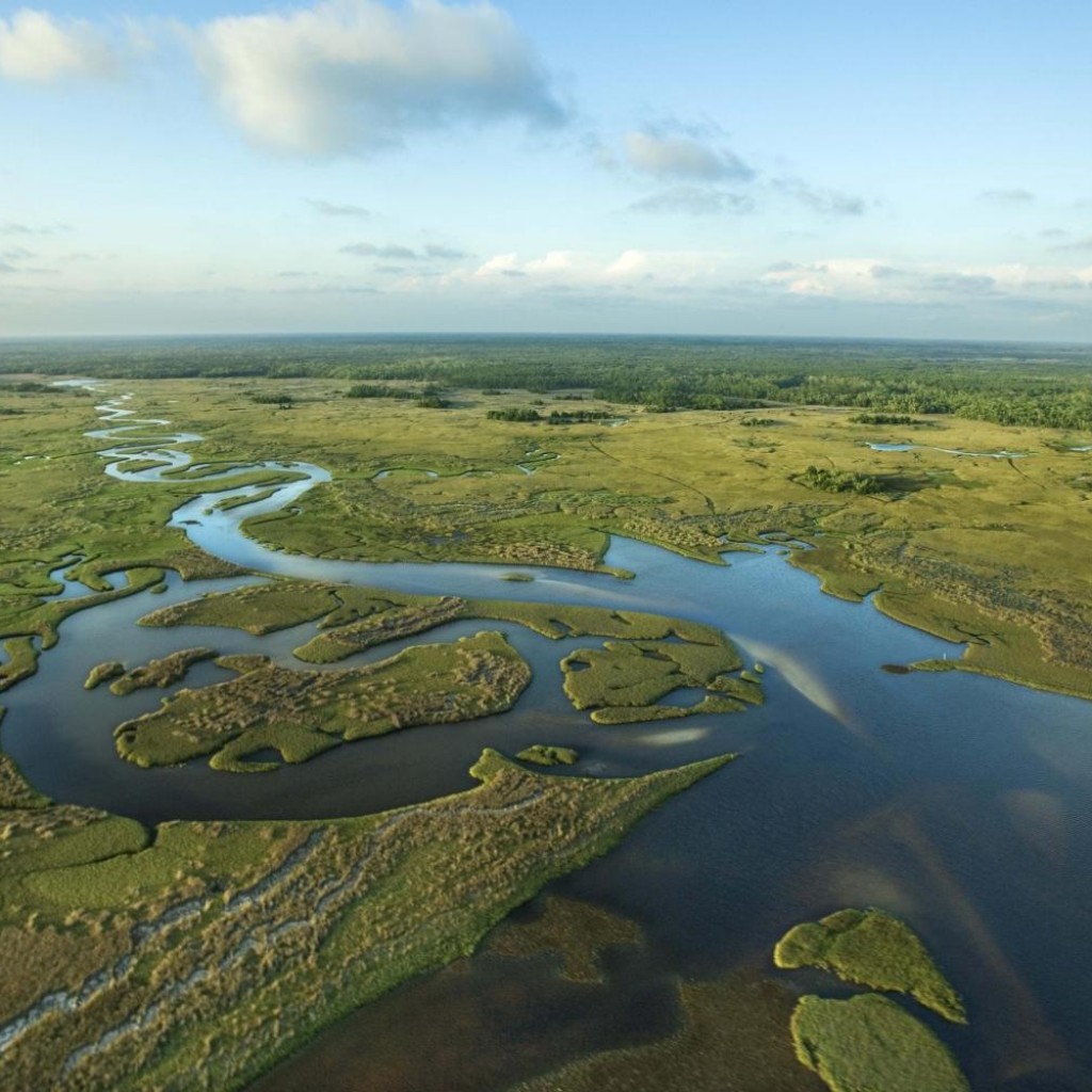 everglades-04-21-1024x1024.jpg