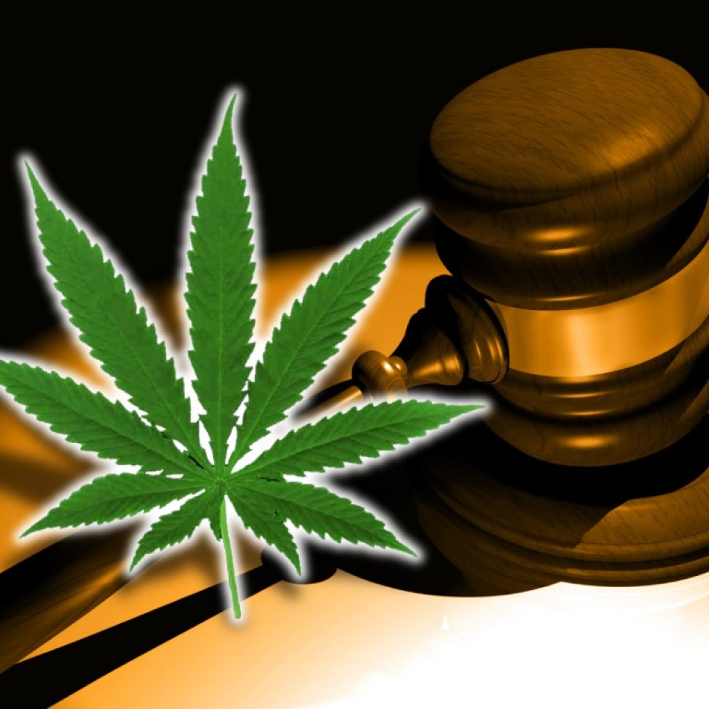 marijuana charlotte's web courts