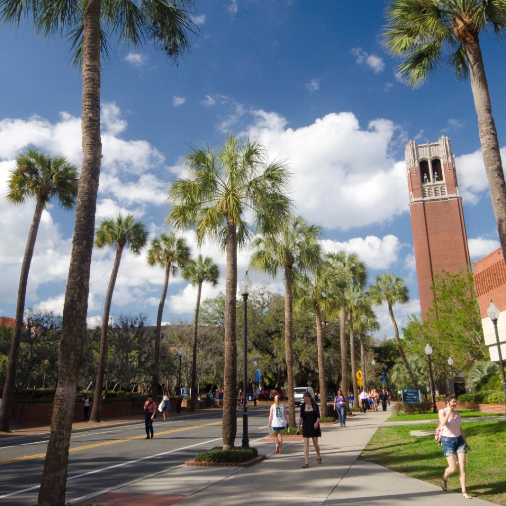 university-of-Florida-Large-1024x1024.jpg