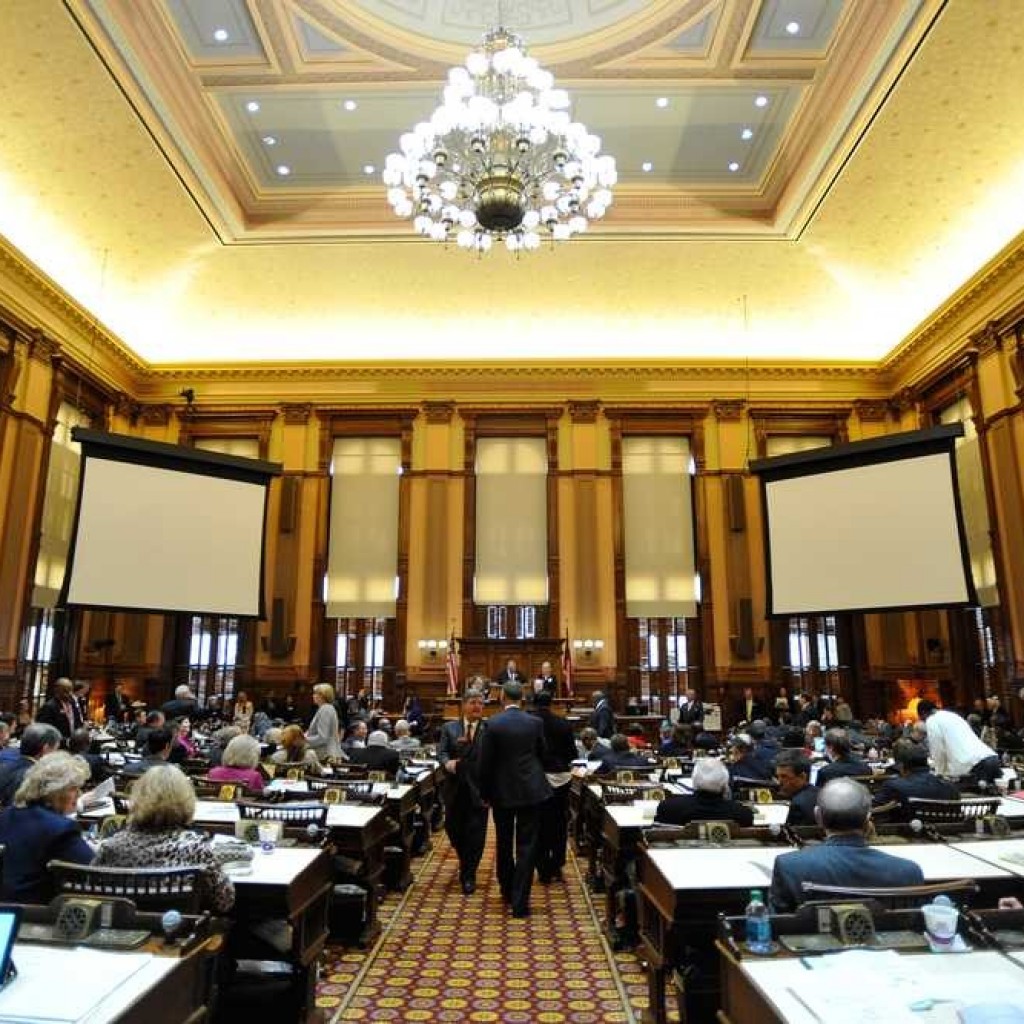 georgia legislature