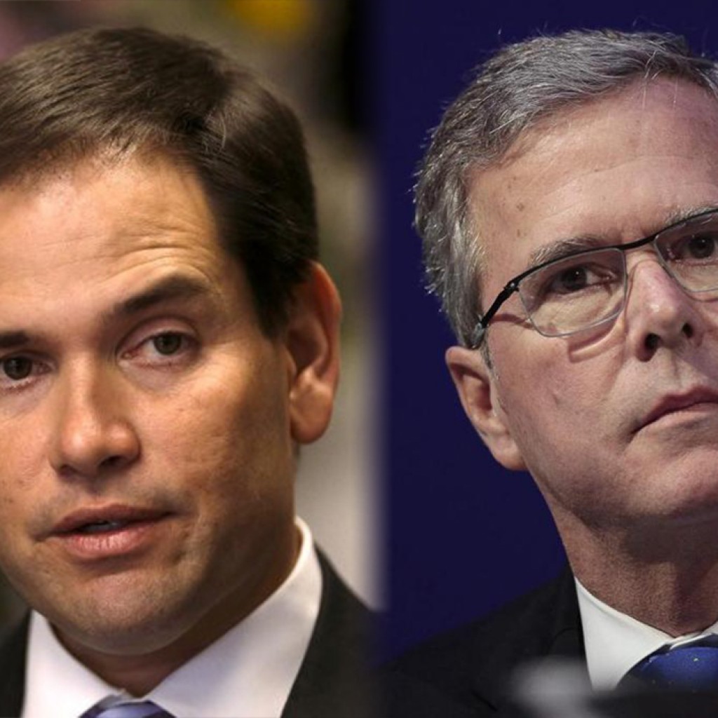 rubio bush 2015