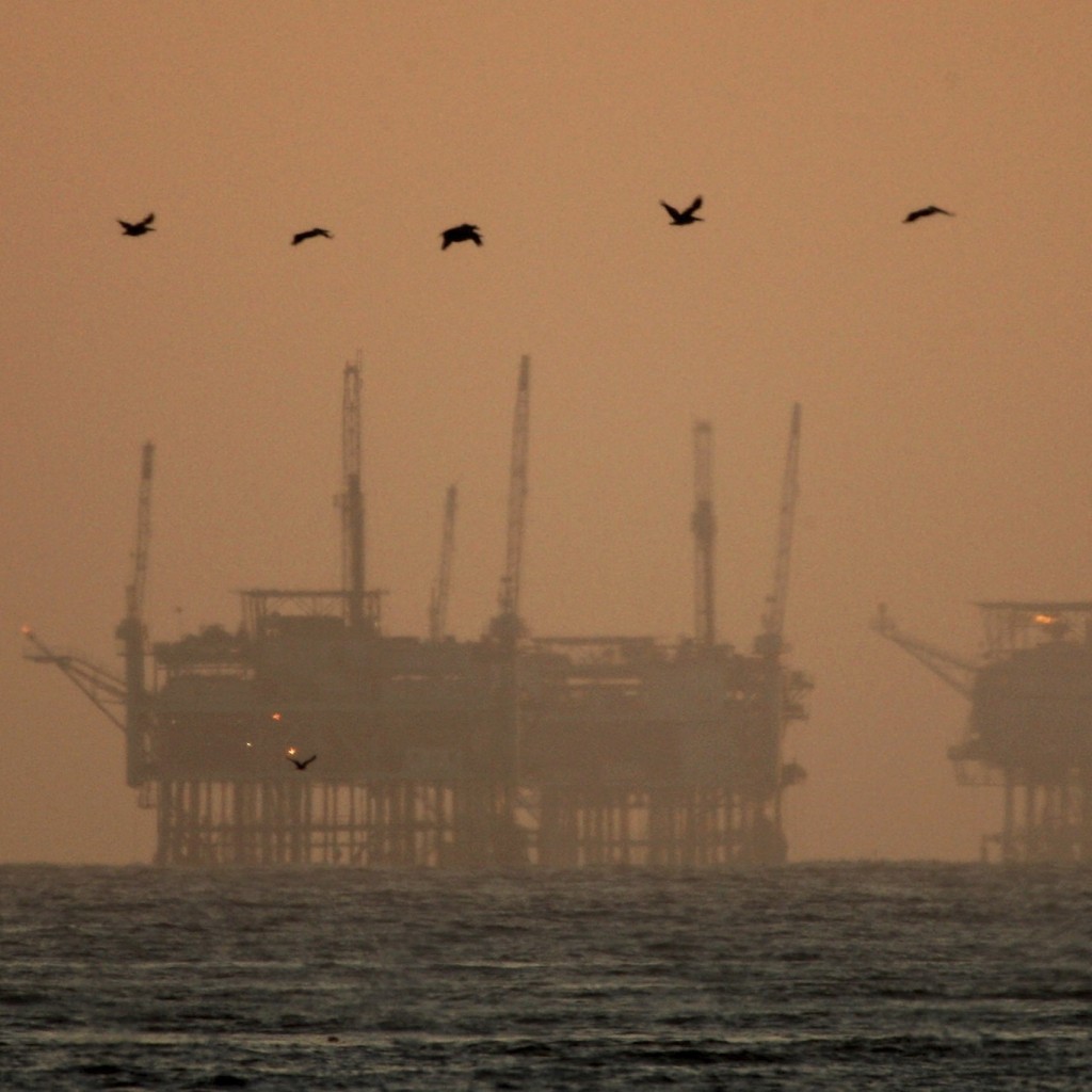 offshore drilling florida coast