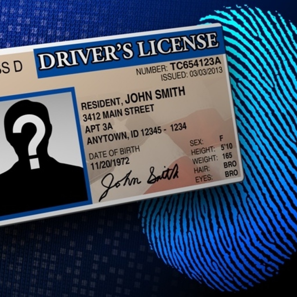 drivers license - generic