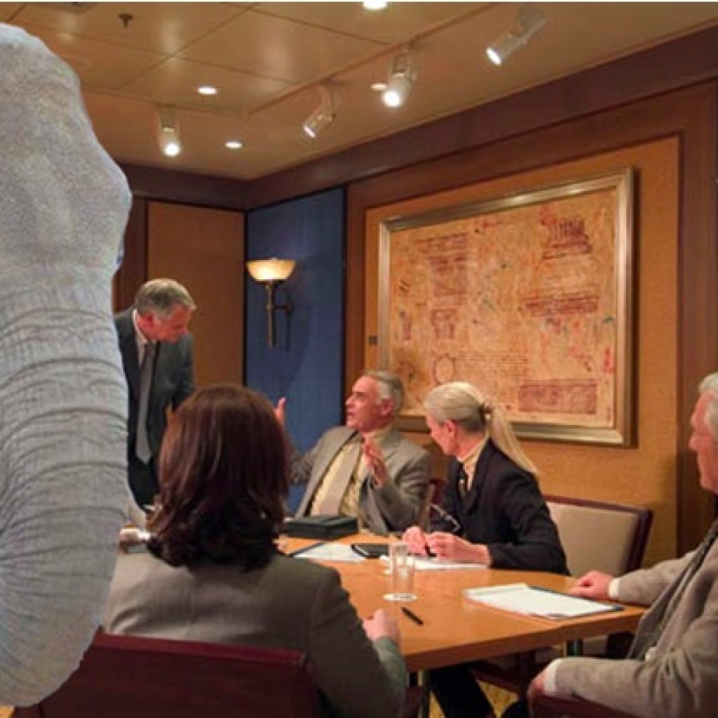 elephant in the room