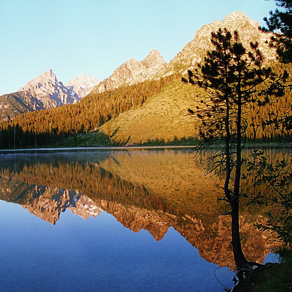 grand-Tetons-wild-West-1024x1024.jpg