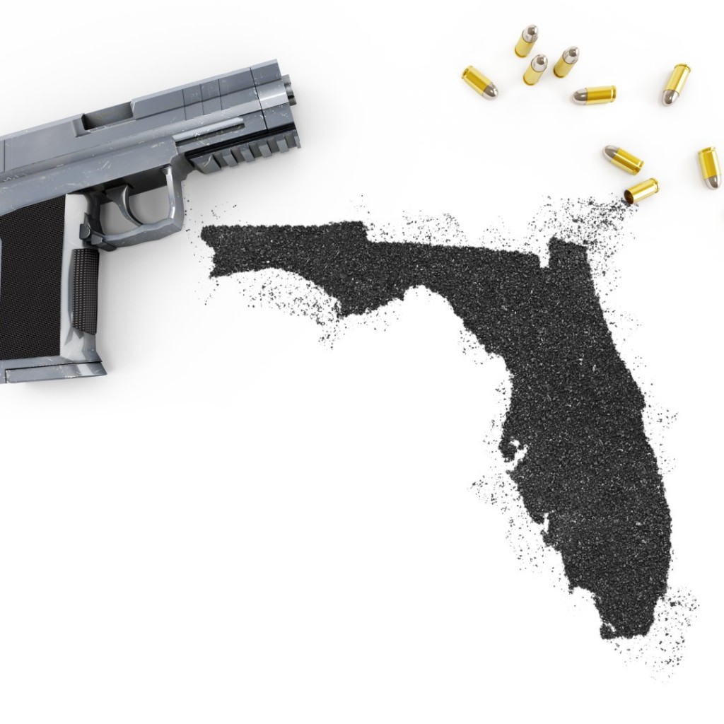 Florida-guns-2-Large-1024x1024.jpg