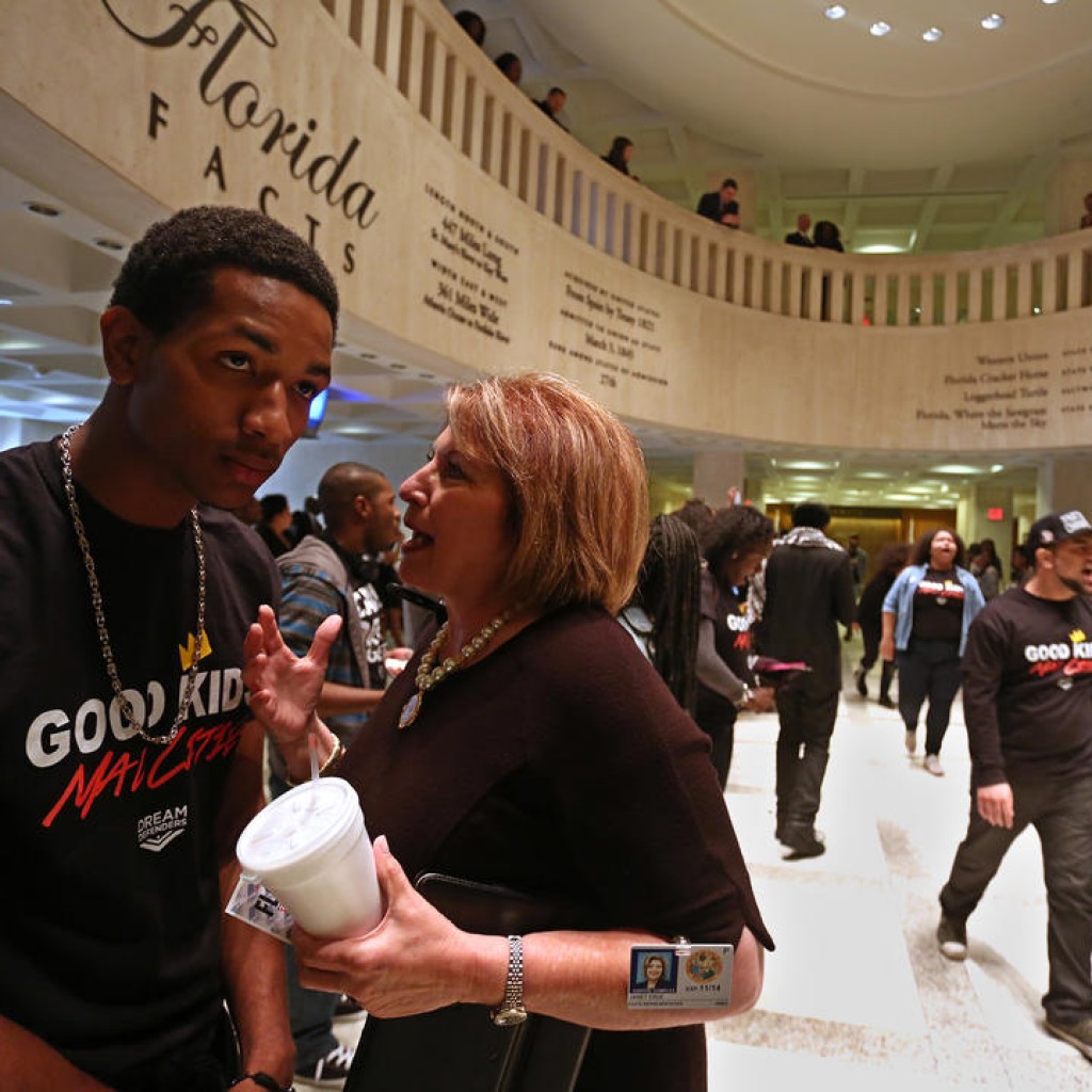 Tallahassee, Florida, USA. 4th Mar, 2014. SCOTT KEELER | Times. Left to Right: Jedidiah Sherrod, Miami, of Broward College, talks with Rep. Janet Cruz, D- Tampa, Tuesday, March 4, 2014 during a protest in the Florida Capitol Rotunda. Sherrod was with a gr