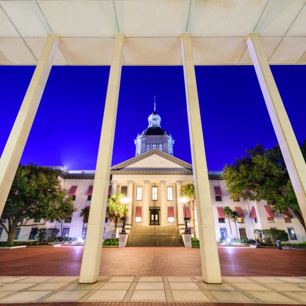 florida capitol - through grates