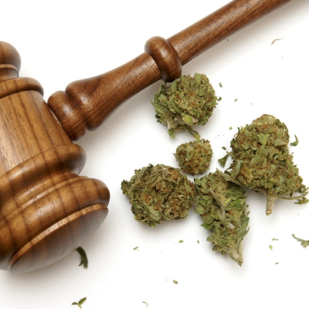 Marijuana and a gavel together for many legal concepts on the drug.