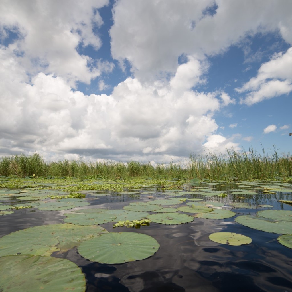 Lake-Okeechobee-Large-1024x1024.jpg