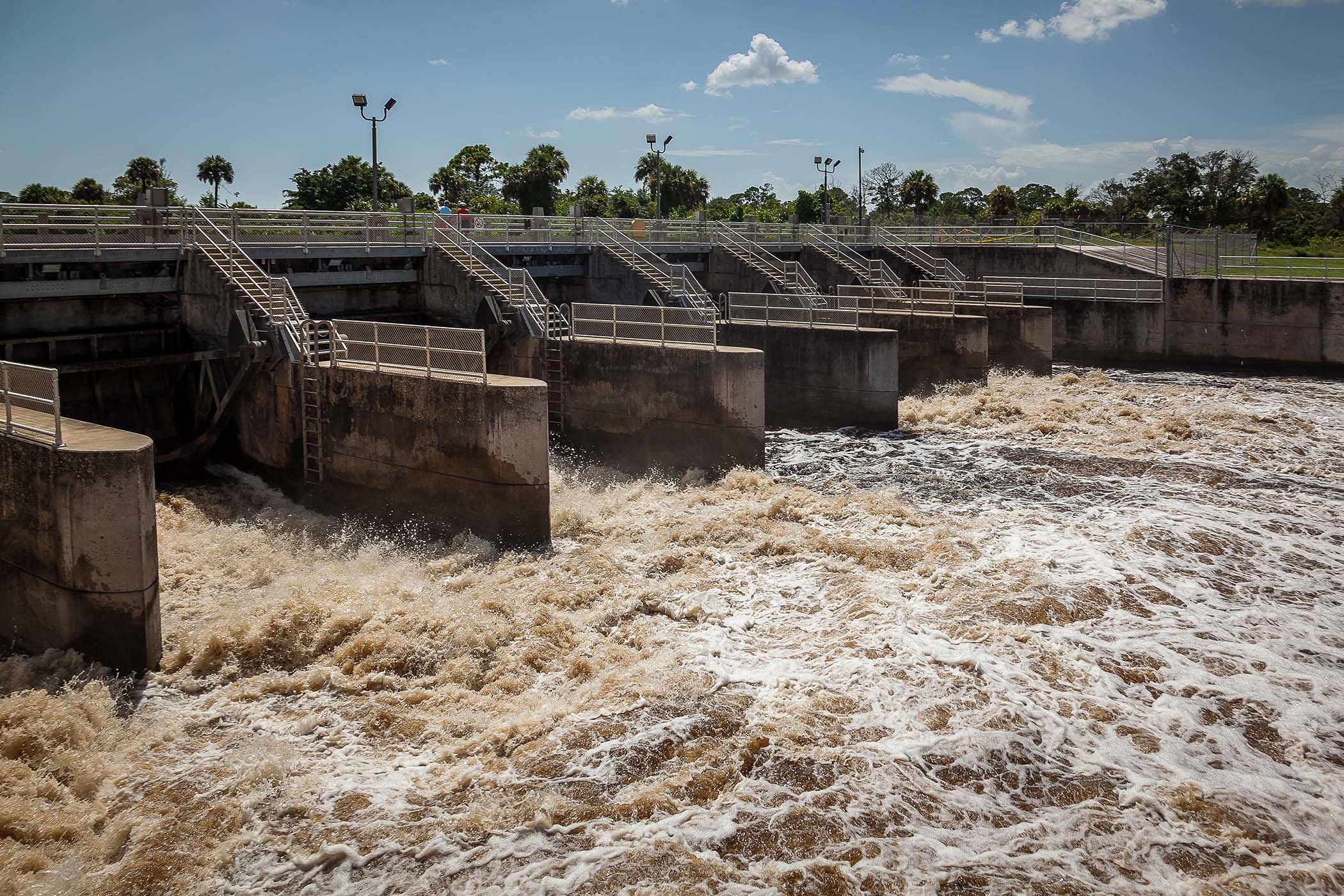 Tina Polsky: Lowering Lake Okeechobee levels poses major risks for ...