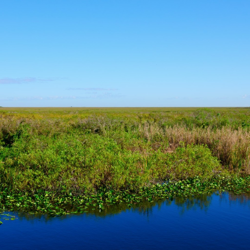 land management (Large)