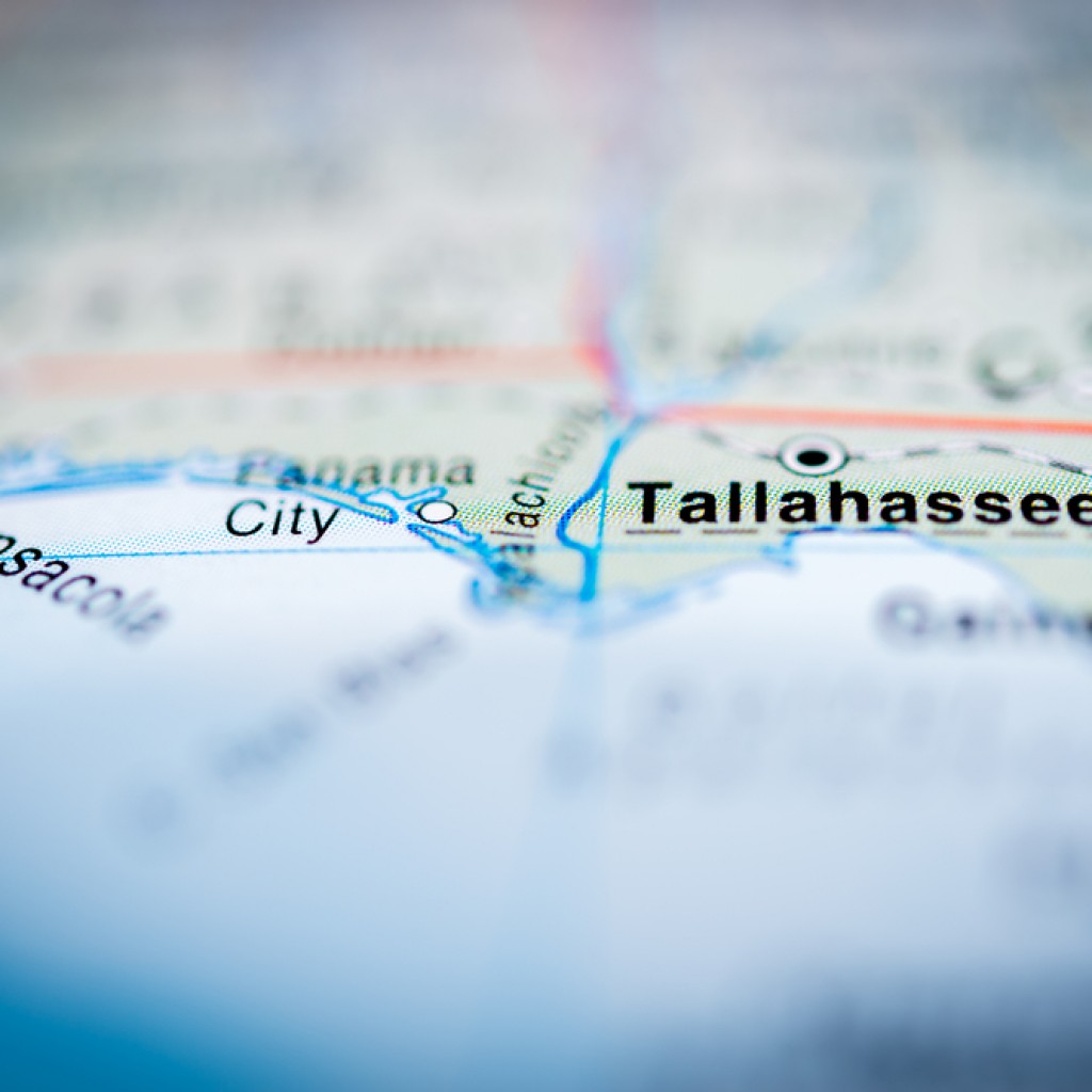 tallahassee6-1024x1024.jpg