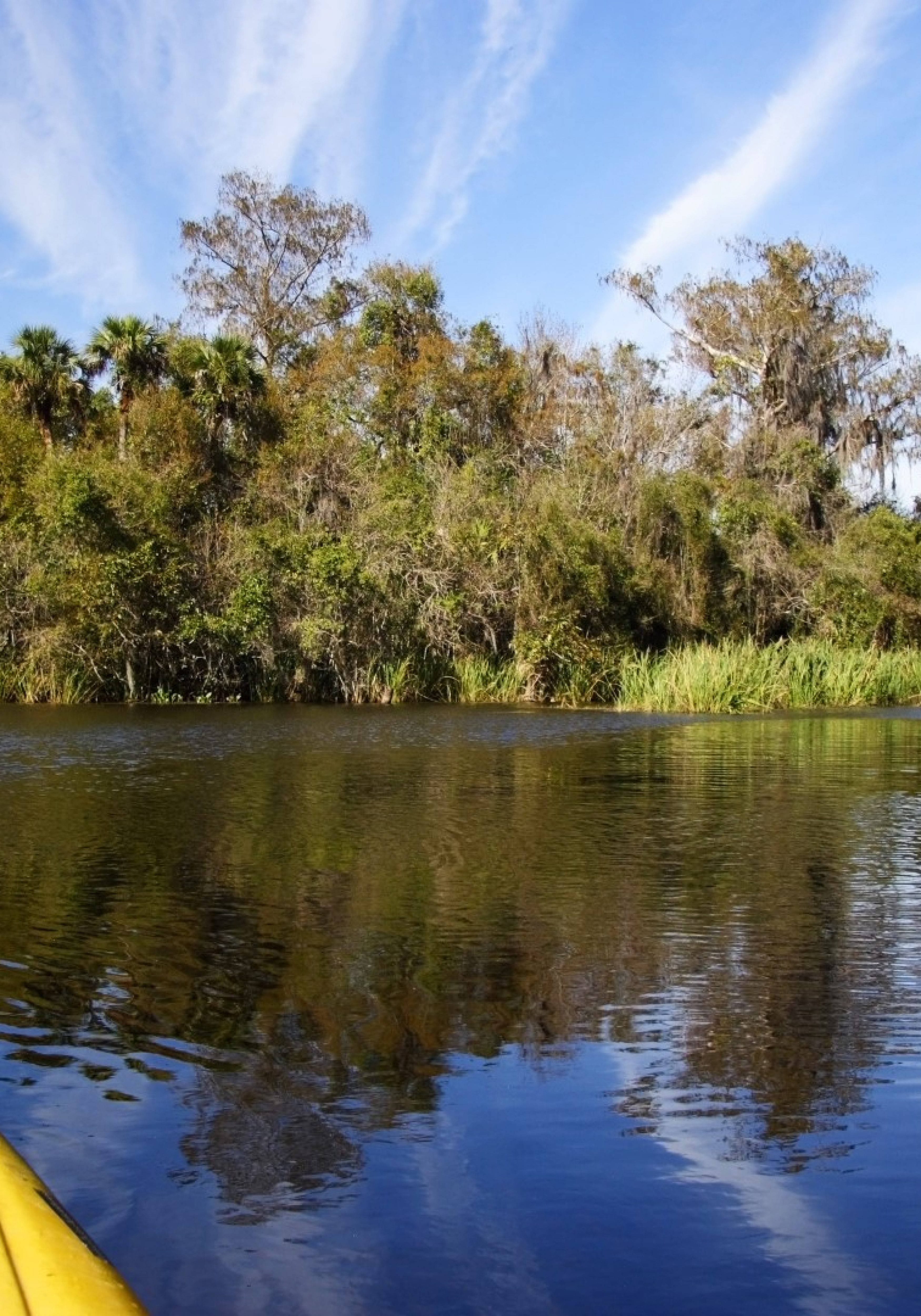 Big Cypress National Preserve (Large)