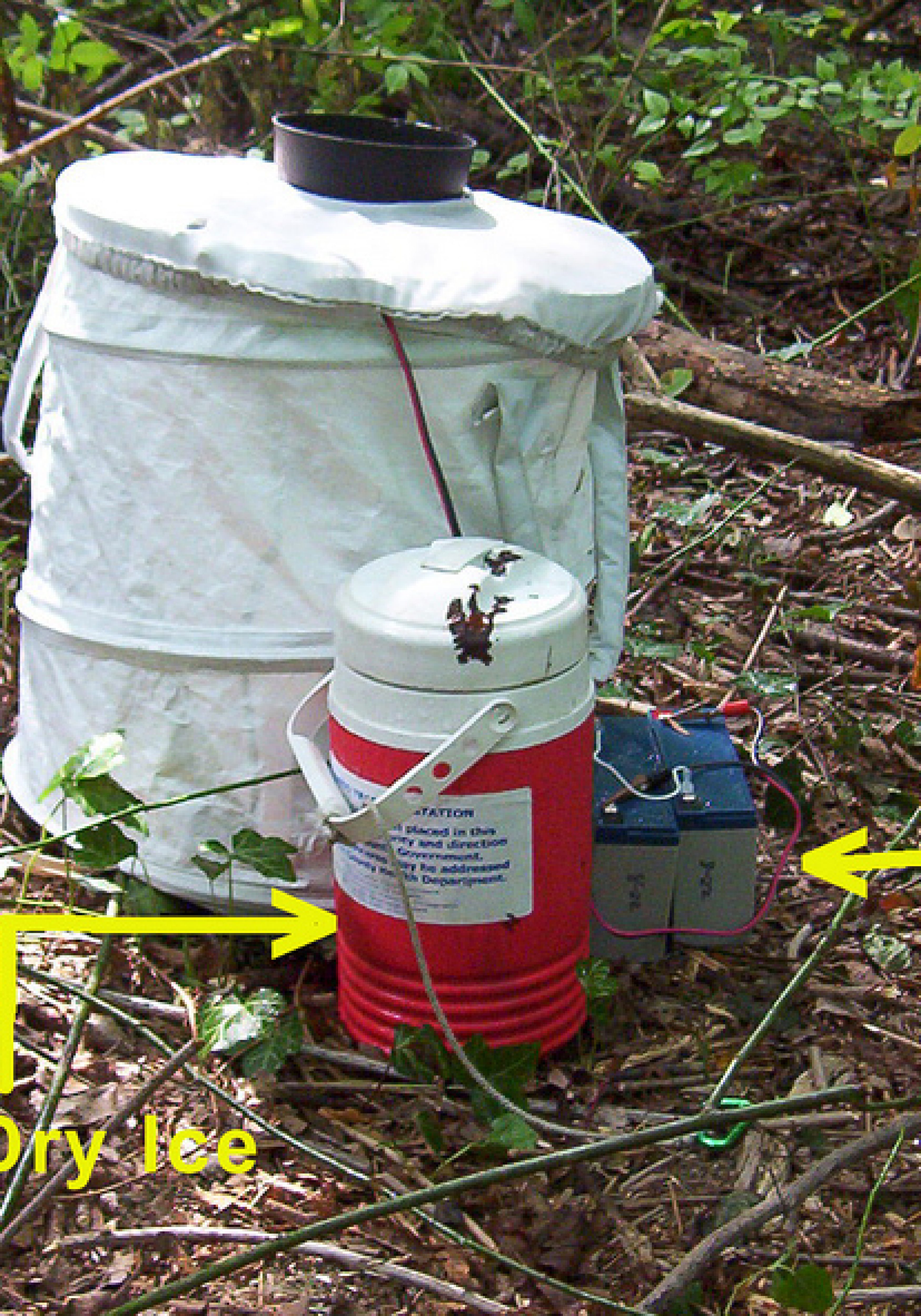 Sentinel mosquito trap
