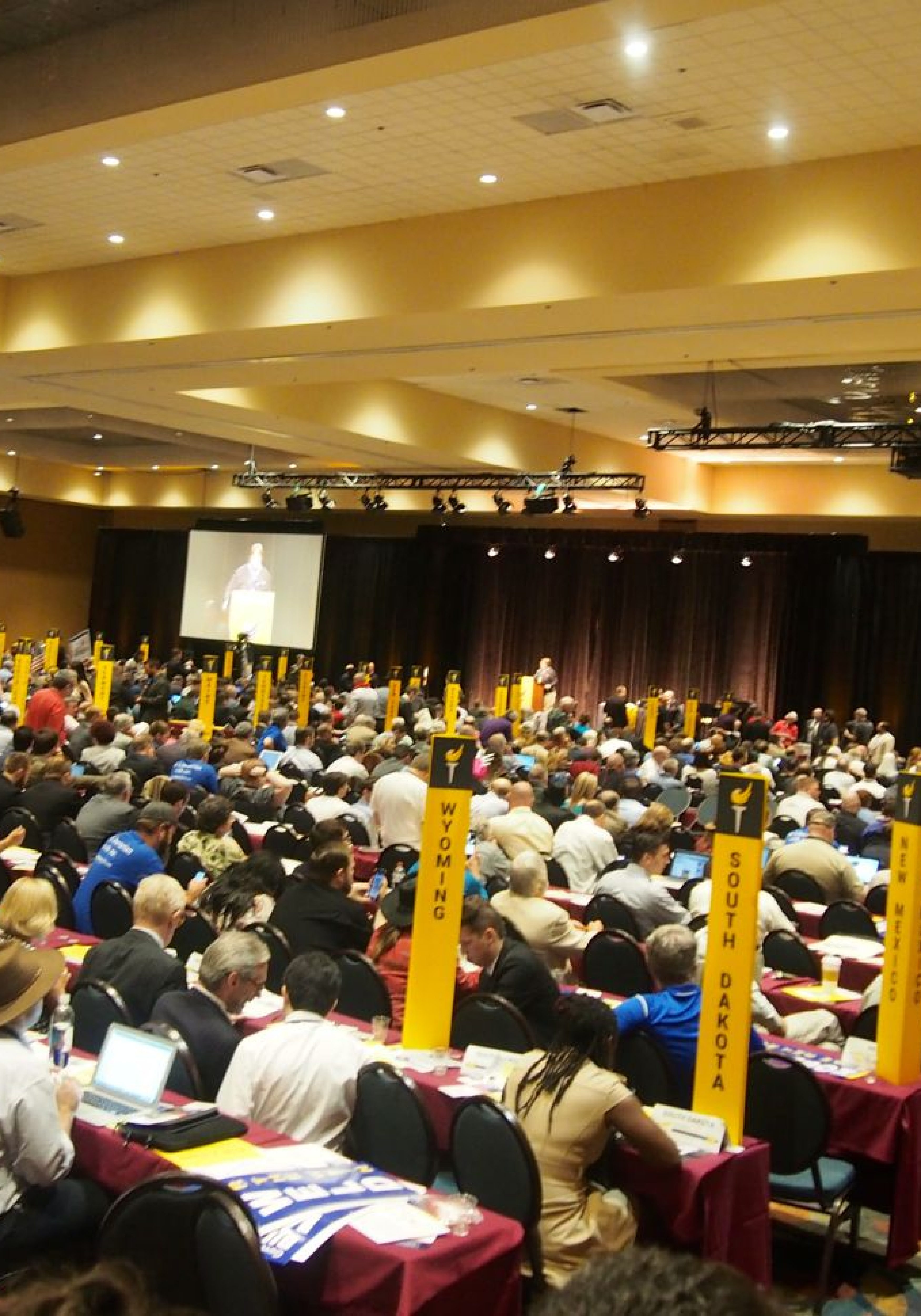 Libertarian National Convention