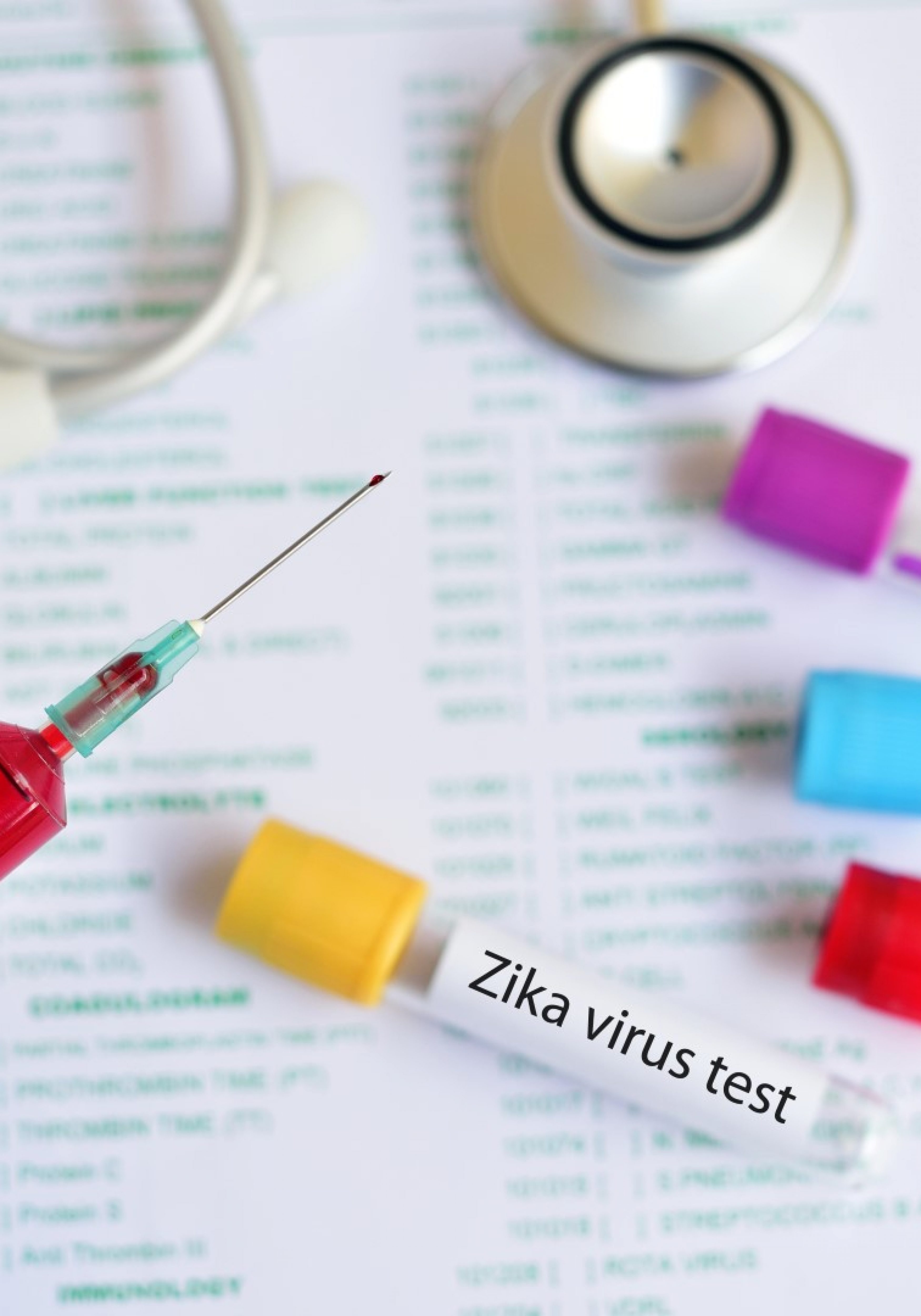 zika virus 4 (Large)