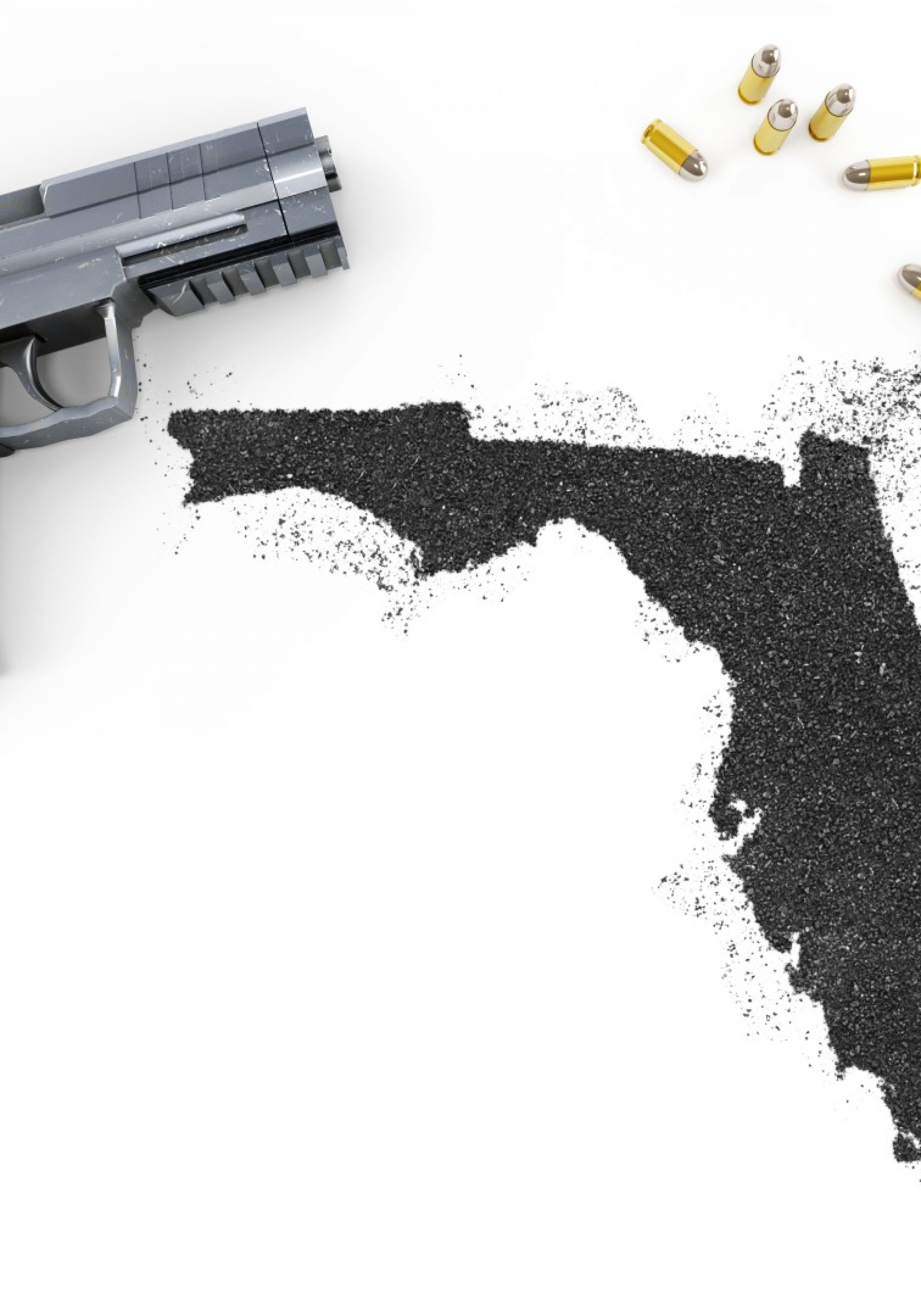 Florida gun (Large)