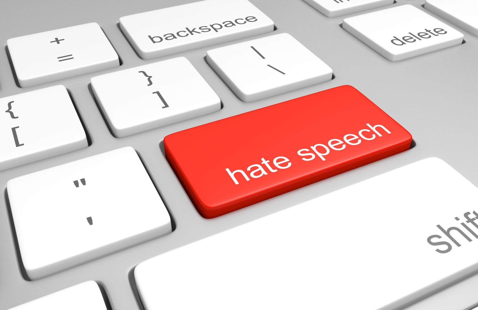 hate speech (Large)