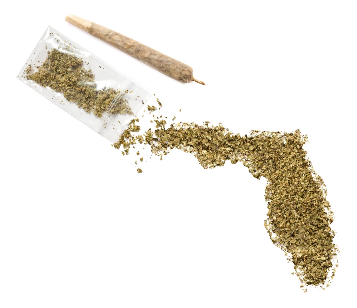 marijuana-florida-2-Large.jpg