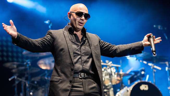 pitbull