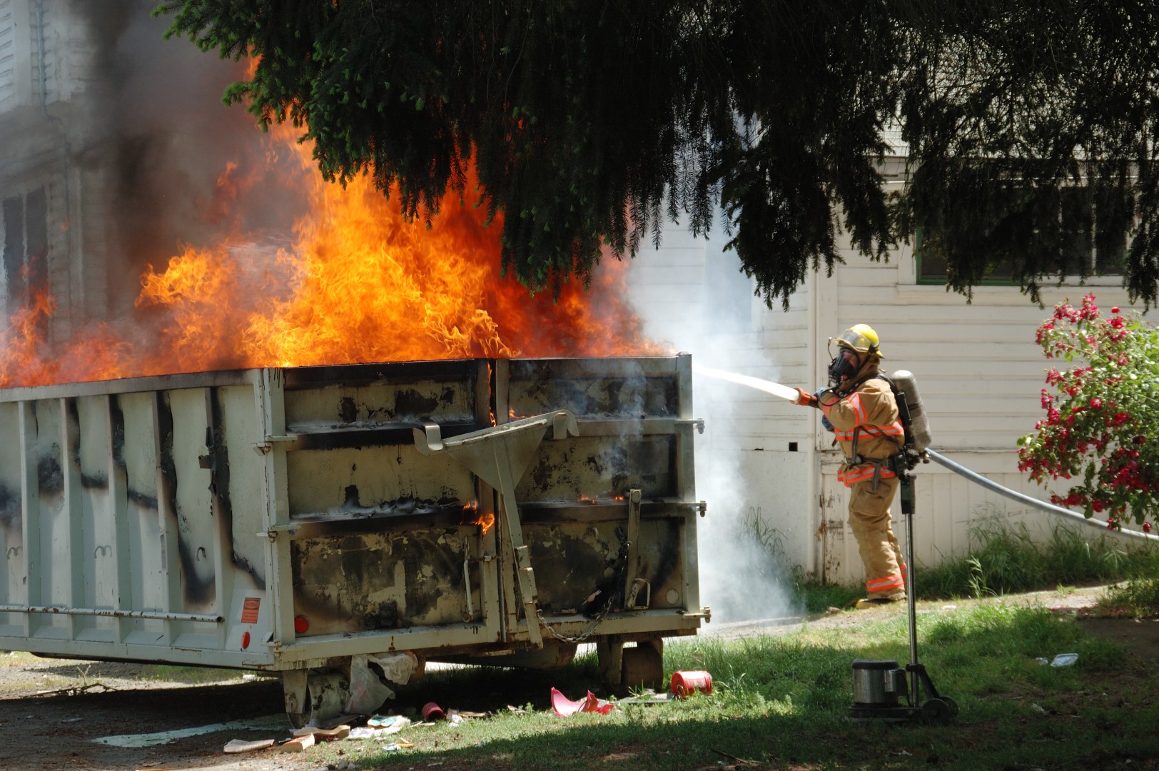 dumpster fire (Large)