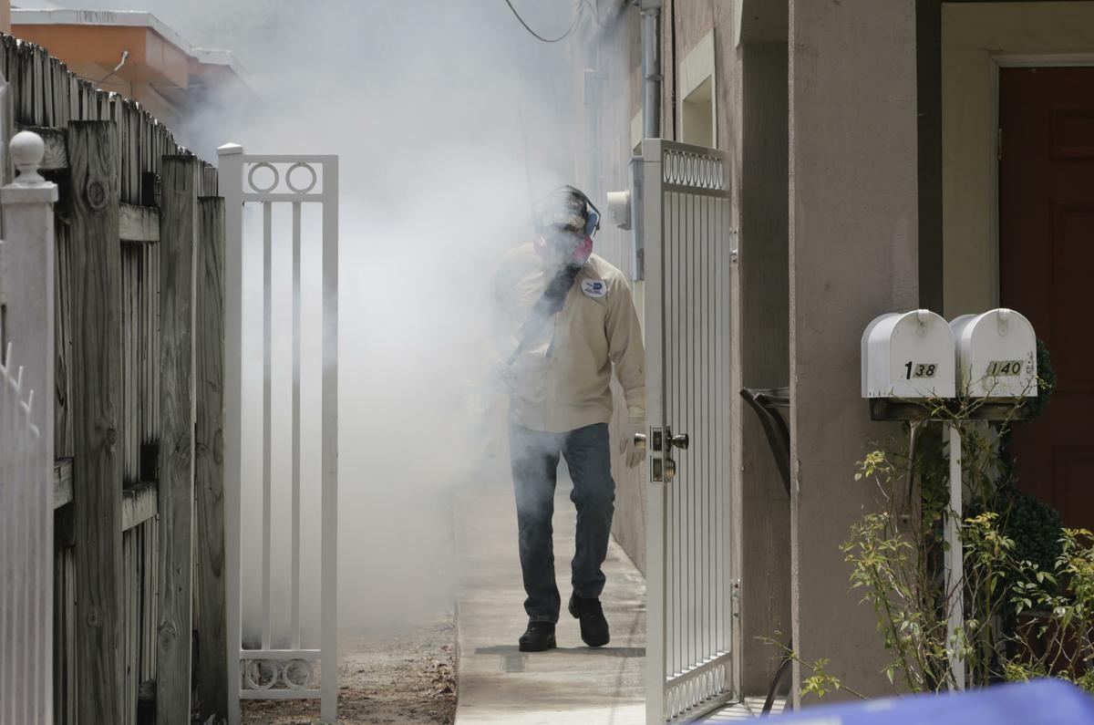 zika-in-photo-Florida.jpg