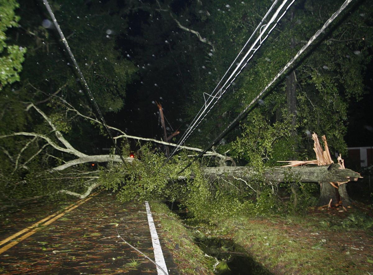 Downed trees and power lines block the road after Hurricane Hermine blows through Tallahassee