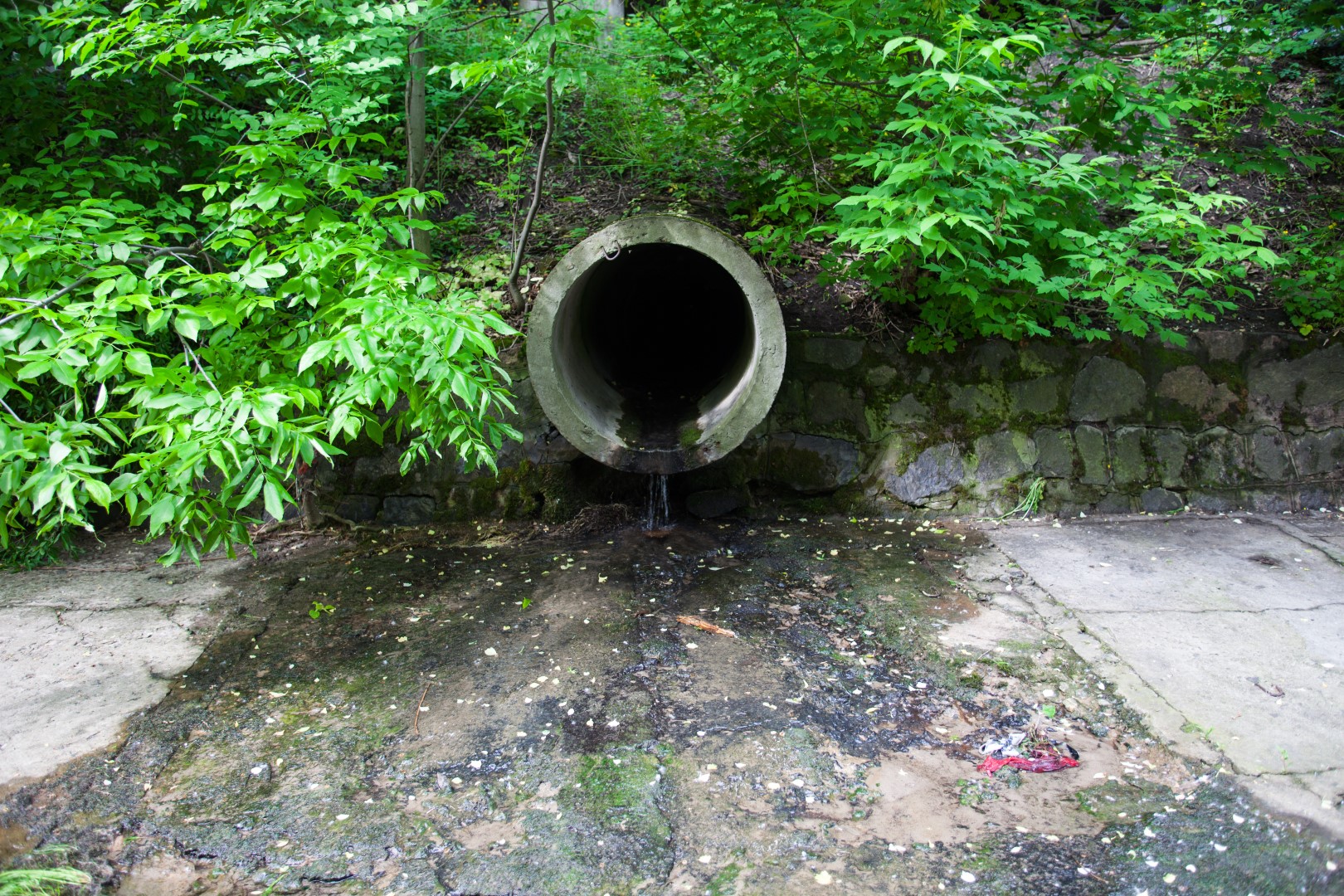 wastewater-pollution-Large.jpg