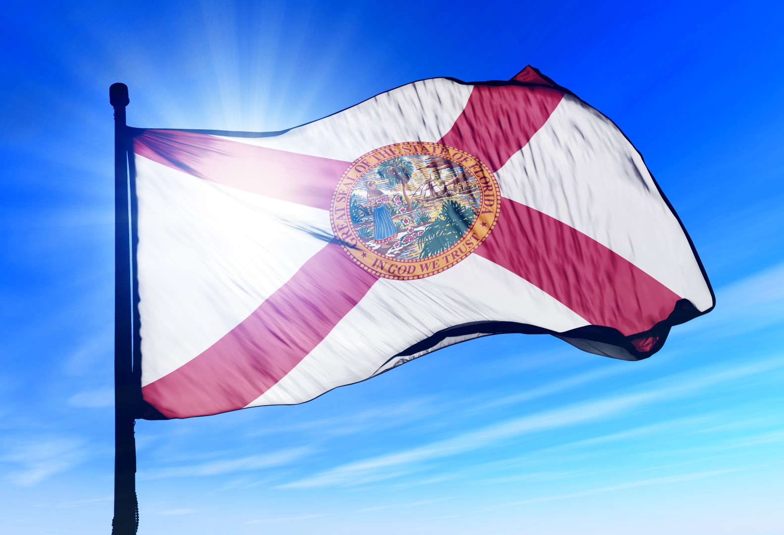 florida-flag-2-10.31-Large.jpg