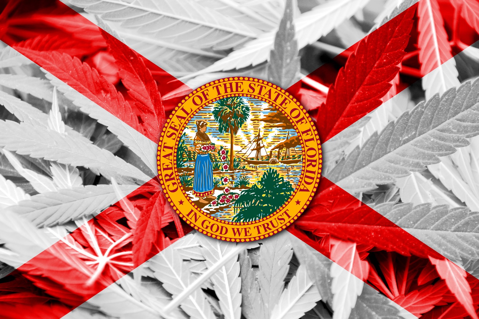 marijuana-florida-Large.jpg