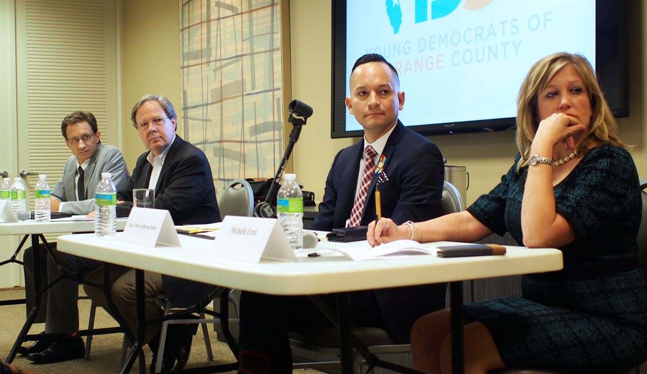 Young-Dems-guns-panel.jpg