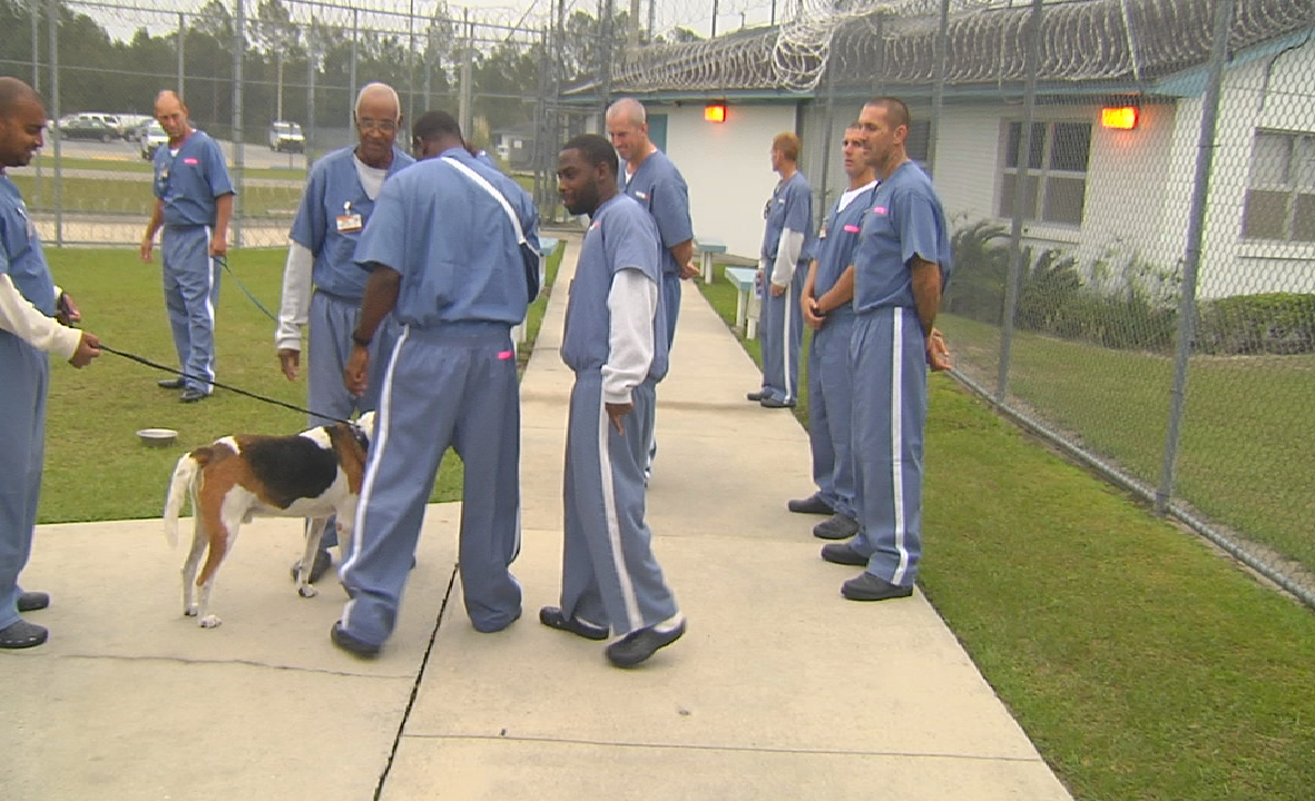 Jacksonville continues to mull expanded inmate work crews