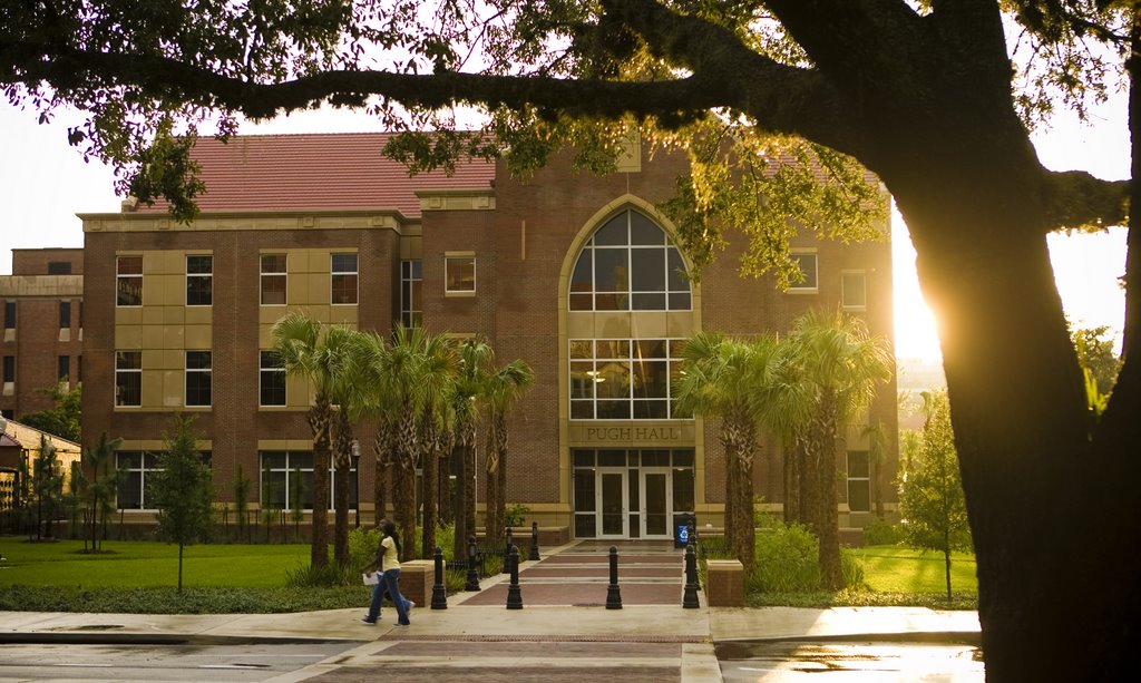 Florida college university