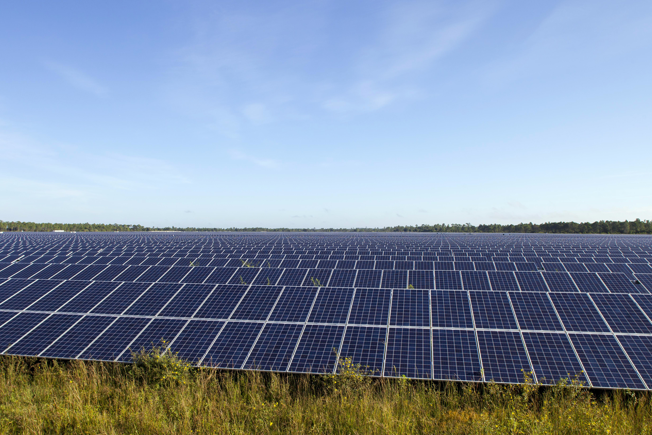 FPL Babcock Ranch Solar Energy Center, Charlotte County, Fla