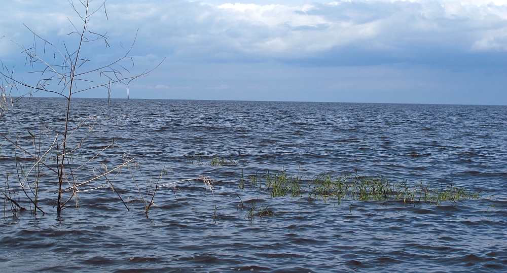 Lake_Okeechobee,_from_Canal_Point