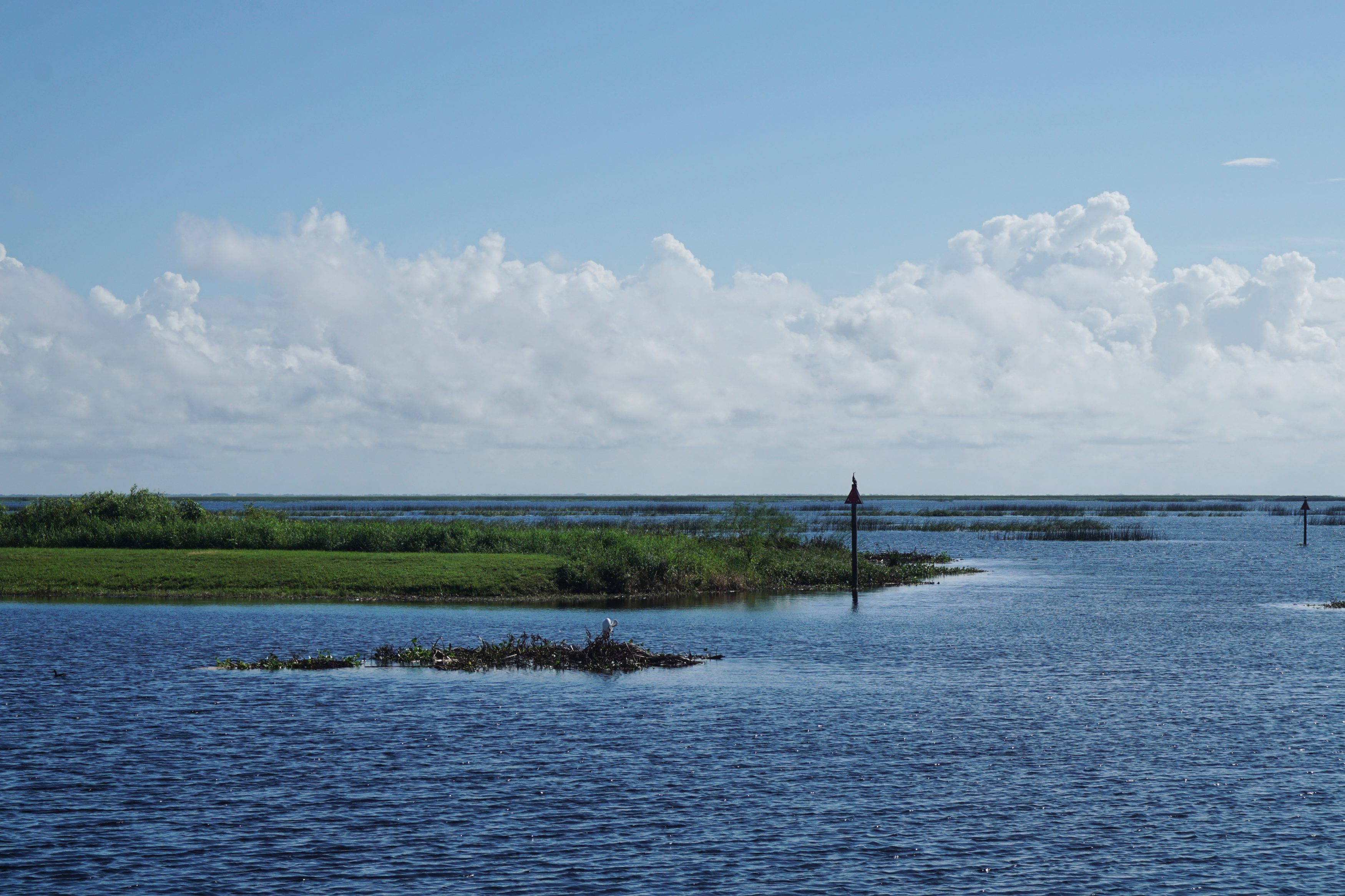 Am Okeechobeesee in Florida