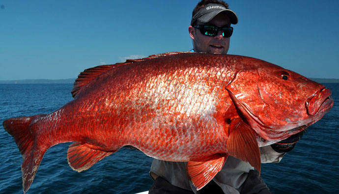 Red snapper season is open for two more days - Friday and Saturday