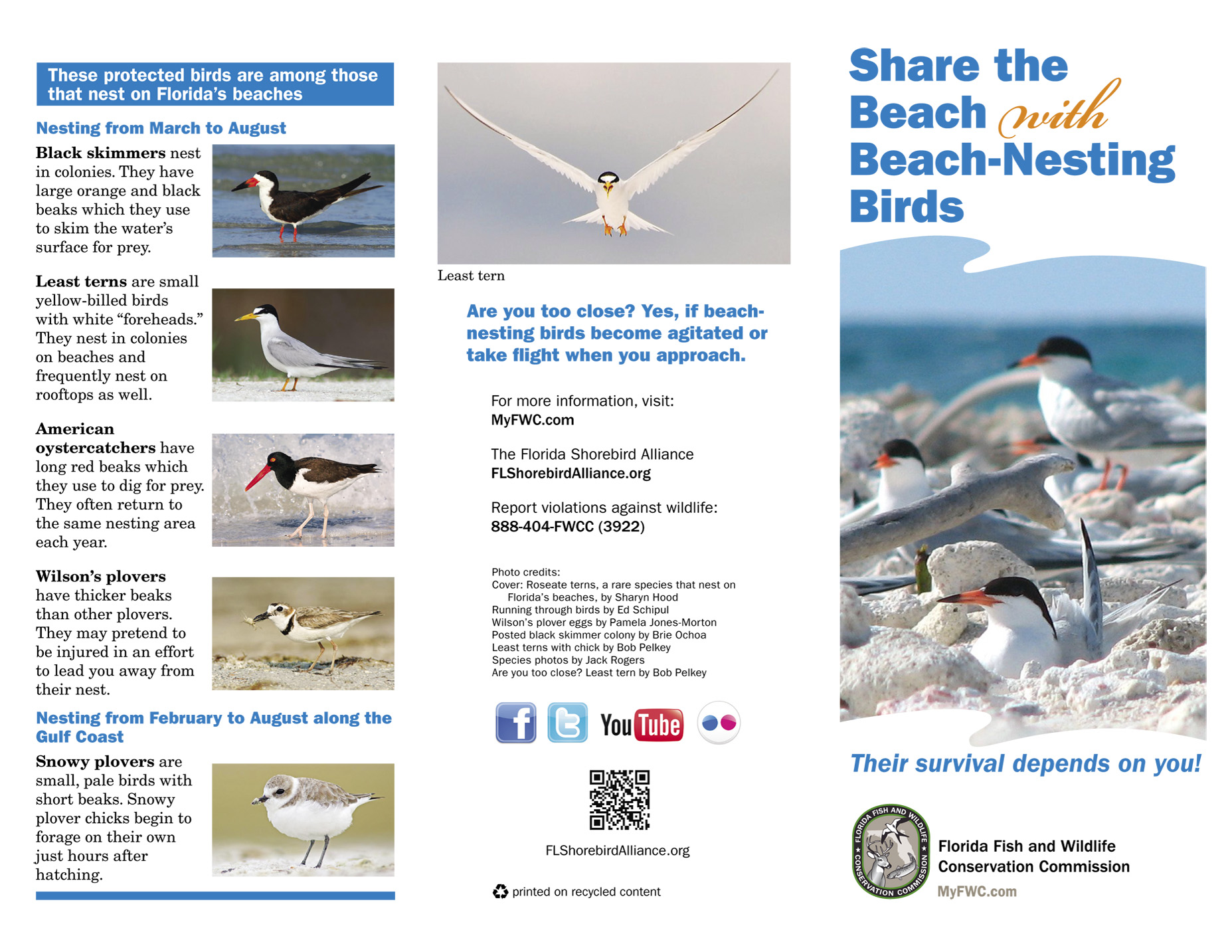 share-the-beach-tri-fold-brochure-side-1_6877794908_o