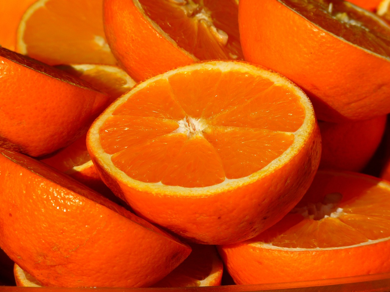 orange-15046_1280.jpg