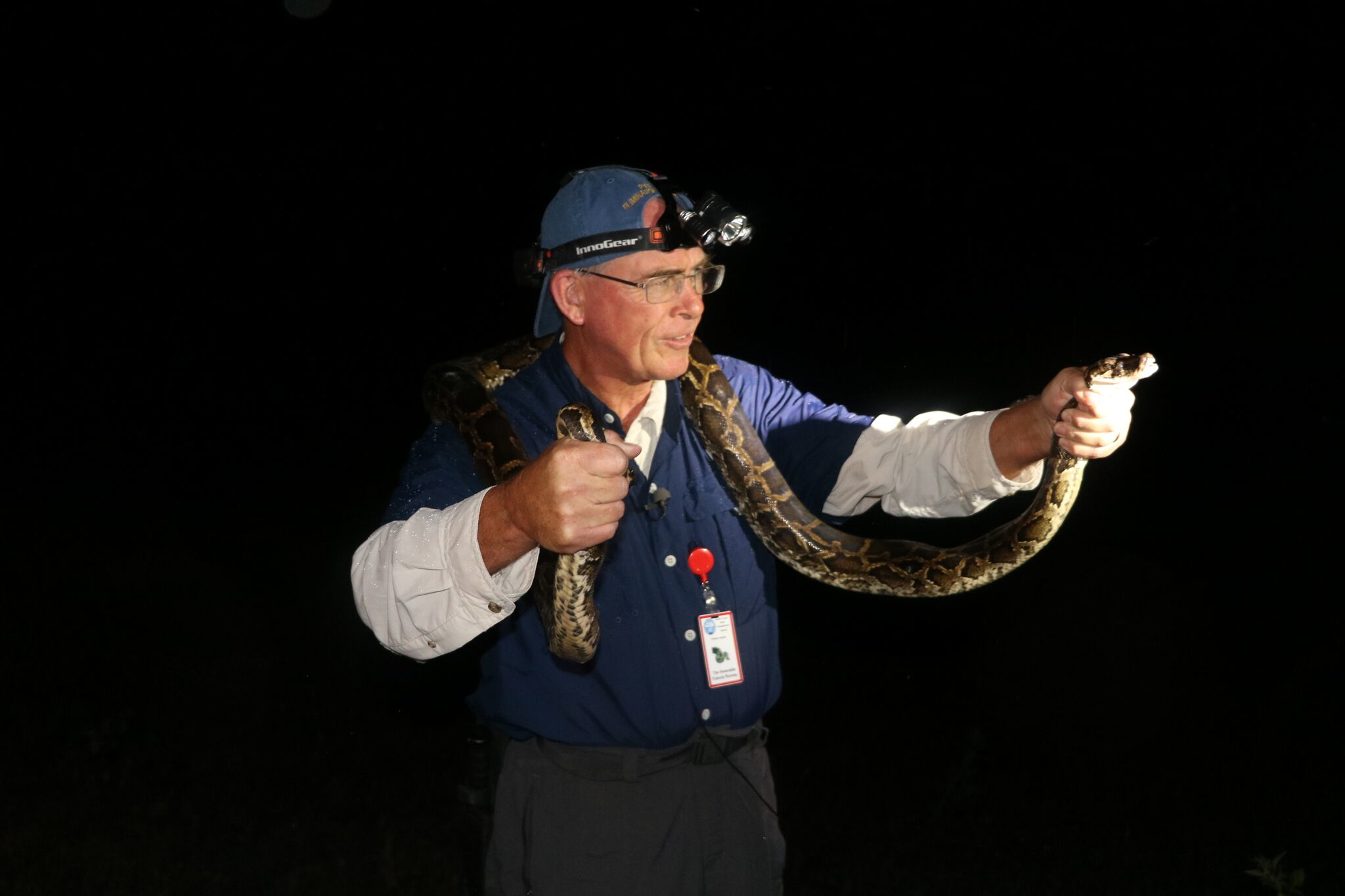 Francis Rooney and python