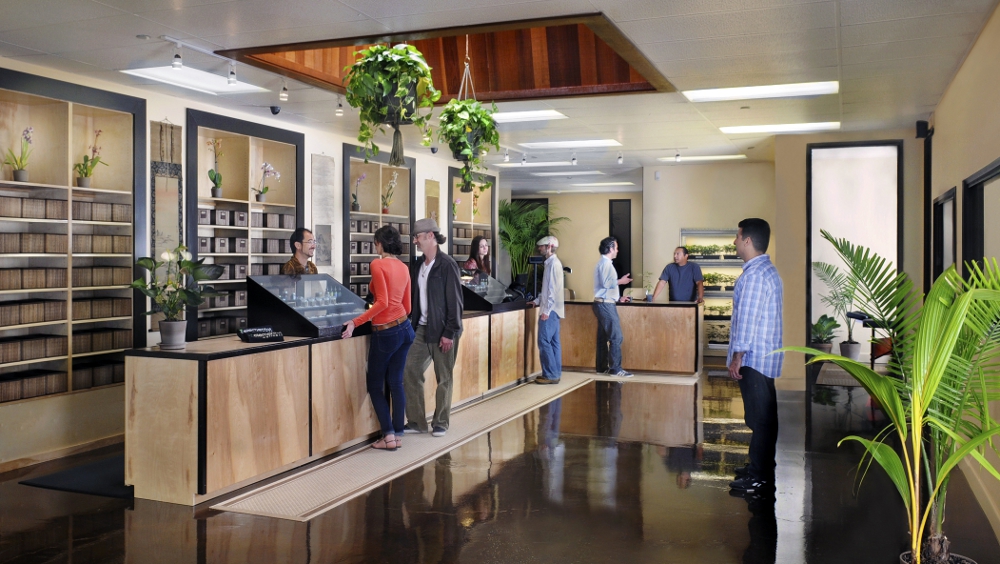 medical marijuana dispensaries